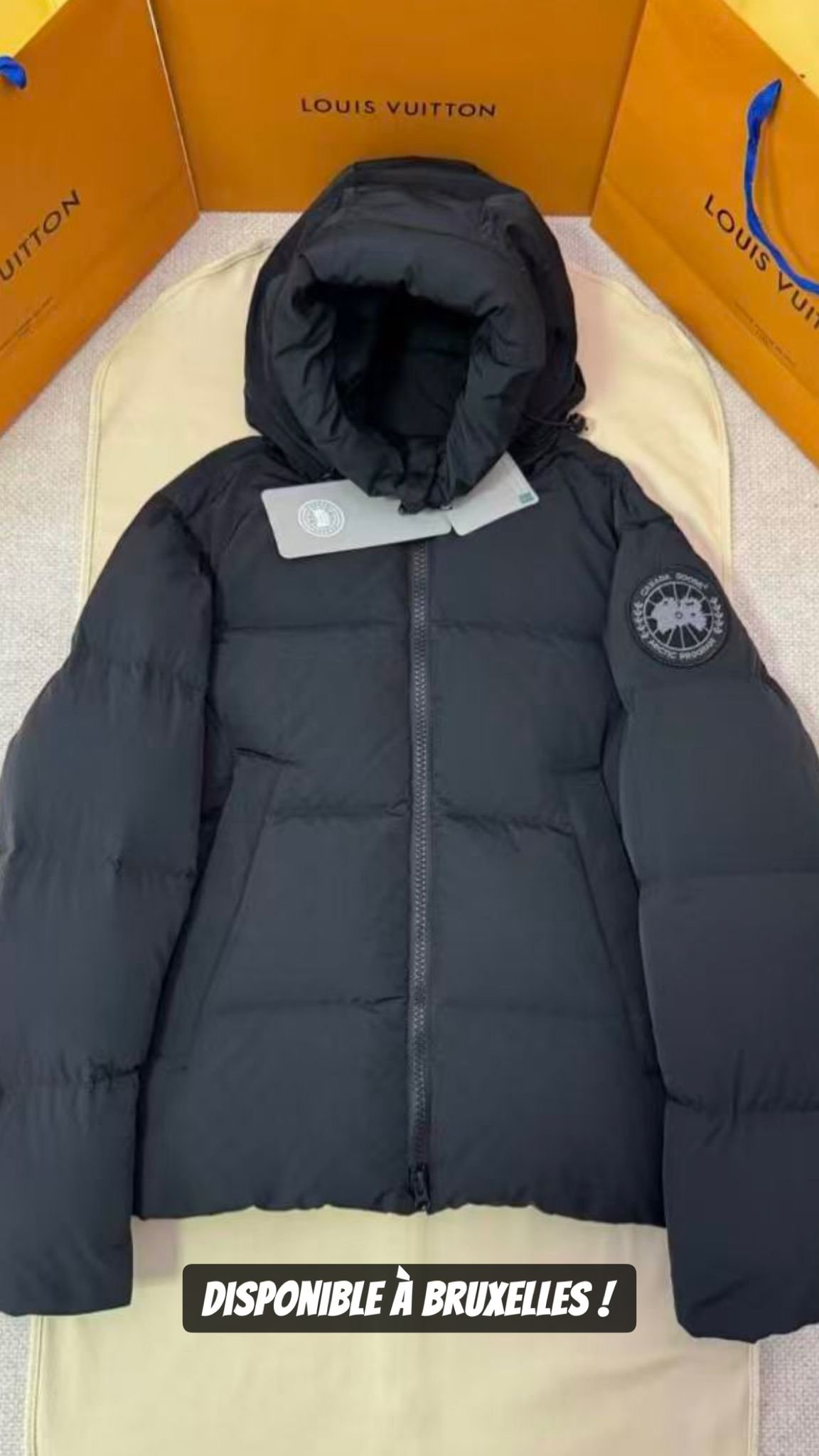 Canada goose crofton puffer